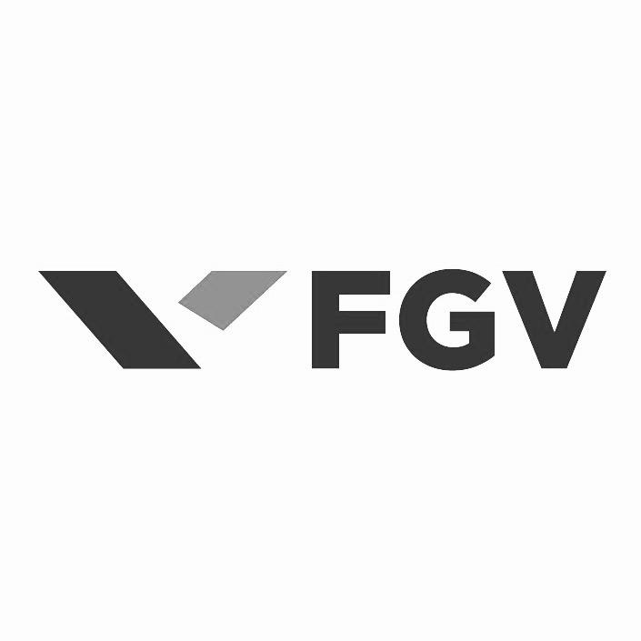 Logo of FVG